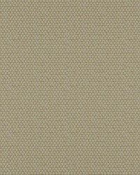 Take Off 613 Moss by   