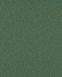 Take Off 615 Clover by  Maxwell Fabrics 