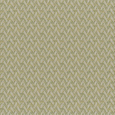Tierra 836 Meadow in COLORGUARD - AMAZONIA Green POLYESTER/16%  Blend Geometric  High Wear Commercial Upholstery Weave   Fabric