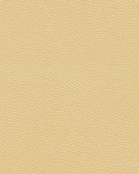 Tannery-nj 101 Sand by   