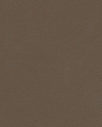 Tannery-nj 103 Ground by   