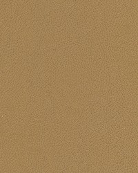 Tannery-nj 104 Peanut by   