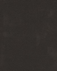 Tannery-nj 106 Raven by   