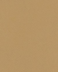 Tannery-nj 107 Tortilla by   