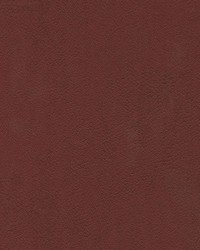 Tannery-nj 111 Merlot by   