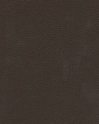 Tannery-nj 112 Clove by   