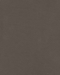 Tannery-nj 113 Pencil by   