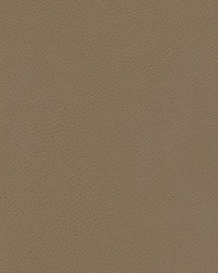 Tannery-nj 116 Coffee by   