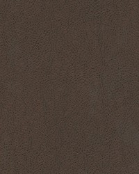 Tannery-nj 117 Chocolate by   