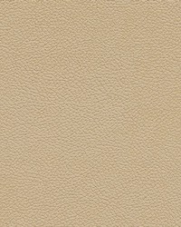 Tannery-nj 118 Fir by   