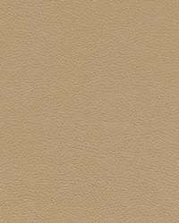 Tannery-nj 119 Alder by   