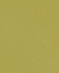 Tannery-nj 121 Oasis by   