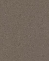 Tannery-nj 122 Umber by   