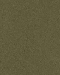 Tannery-nj 123 Army by   