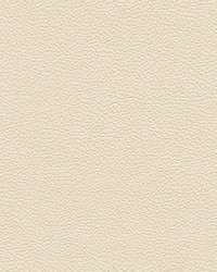 Tannery-nj 124 Buff by   