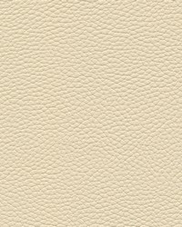 Tebessa-nj 137 Natural by  Maxwell Fabrics 