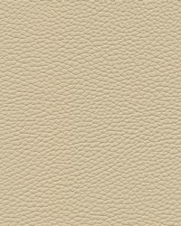 Tebessa-nj 138 Almond by  Maxwell Fabrics 