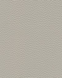Tebessa-nj 139 Dove by  Maxwell Fabrics 
