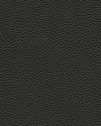 Tebessa-nj 141 Onyx by  Maxwell Fabrics 