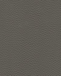 Tebessa-nj 142 Graphite by  Maxwell Fabrics 