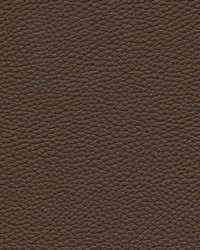 Tebessa-nj 143 Twig by  Maxwell Fabrics 