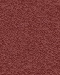 Tebessa-nj 144 Cherry by  Maxwell Fabrics 