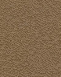 Tebessa-nj 145 Coconut by  Maxwell Fabrics 