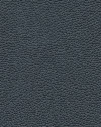 Tebessa-nj 146 Trench by  Maxwell Fabrics 