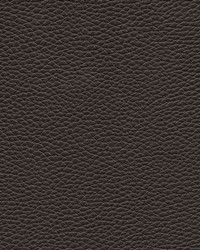 Tebessa-nj 147 Star Anise by  Maxwell Fabrics 