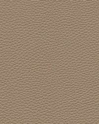 Tebessa-nj 148 Sienna by  Maxwell Fabrics 