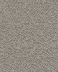 Tebessa-nj 149 Rock by  Maxwell Fabrics 