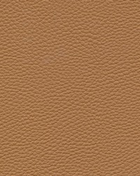 Tebessa-nj 150 Pinto by  Maxwell Fabrics 