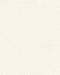 Tebessa-nj 151 Ivory by  Maxwell Fabrics 