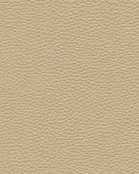 Tebessa-nj 152 Birch by  Maxwell Fabrics 