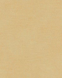 Top Grain-nj 840 Boer by   