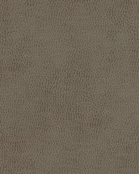 Top Grain-nj 846 Campolina by   