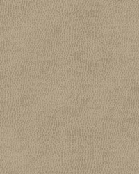 Top Grain-nj 848 Konik by   