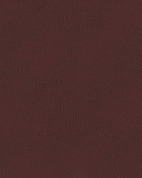 Top Grain-nj 849 Shiraz by   