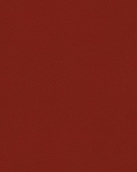 Top Grain-nj 851 Cherry by   