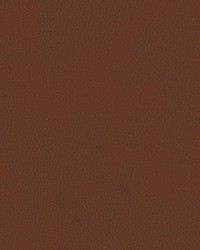 Top Grain-nj 853 Kutcha by   