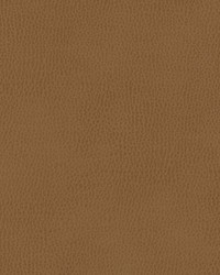 Top Grain-nj 856 Paso by   