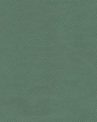 Top Grain-nj 859 Spruce by   