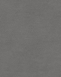 Top Grain-nj 862 Midnight by   