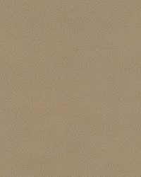 Top Grain-nj 864 Grey Hound by   