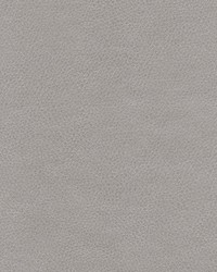 Top Grain-nj 869 Barb by   