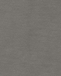 Top Grain-nj 870 Fog by   