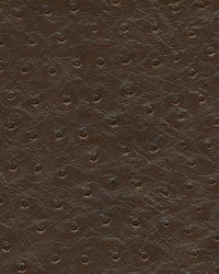 Twitter-nj 289 Orca by  Duralee 