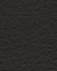 Twitter-nj 291 Jet by  Duralee 