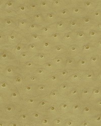 Twitter-nj 293 Lettuce by  Duralee 