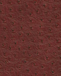 Twitter-nj 294 Beet by  Duralee 